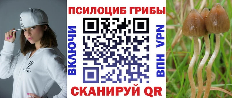 Галлюциногенные грибы мухоморы Выкса