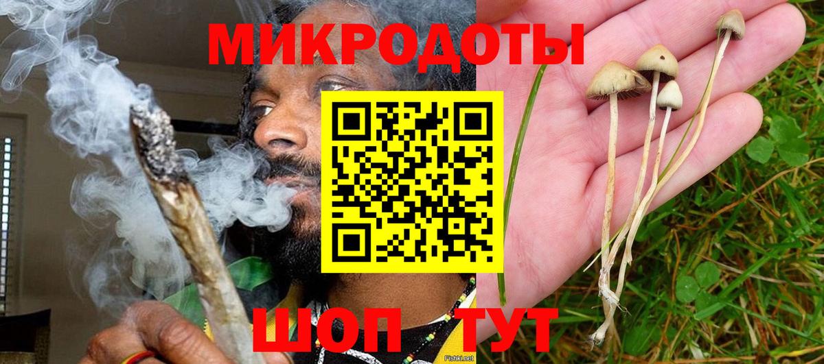 Выкса  Галлюциногенные грибы прущие грибы  Псилоцибиновые грибы Psilocybe  Вход с VPN 