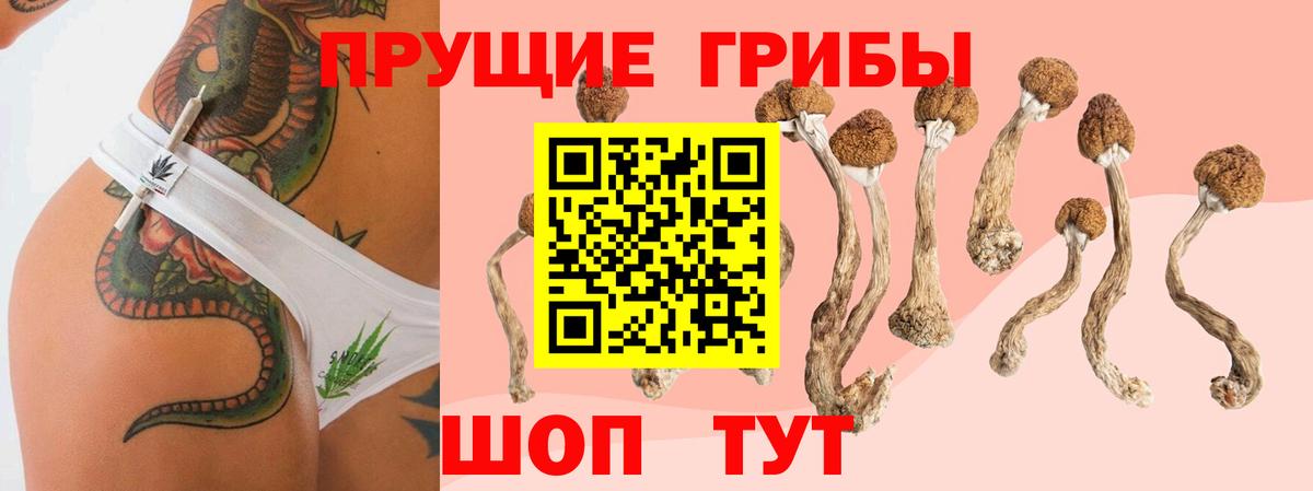 Псилоцибиновые грибы ЛСД Выкса